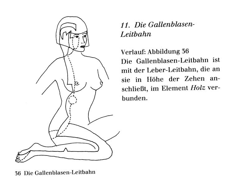 Gallenblase-Leitbahn